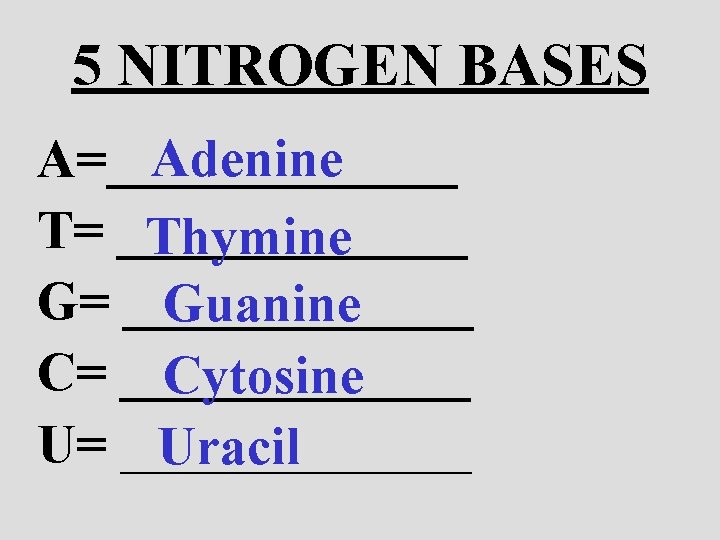 5 NITROGEN BASES Adenine A=_______ T= _______ Thymine G= _______ Guanine C= _______ Cytosine