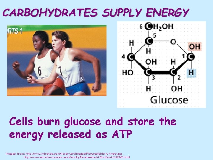 CARBOHYDRATES SUPPLY ENERGY Cells burn glucose and store the energy released as ATP Images