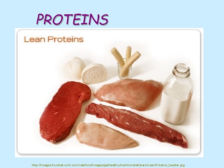 PROTEINS http: //images. foodnetwork. com/webfood/images/gethealthy/nutritionalallstars/Lean. Proteins_header. jpg 