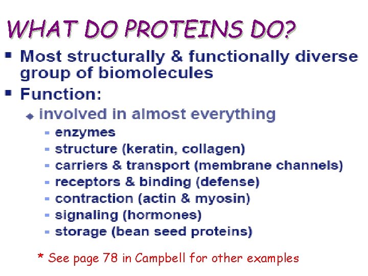 WHAT DO PROTEINS DO? * See page 78 in Campbell for other examples 