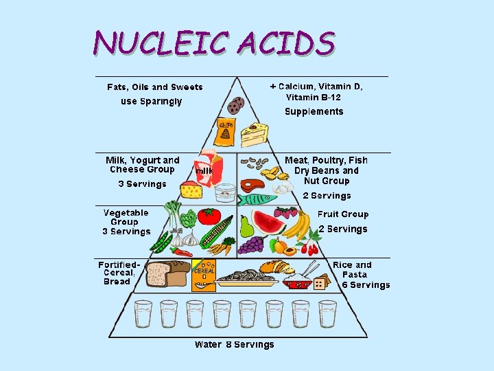 NUCLEIC ACIDS 