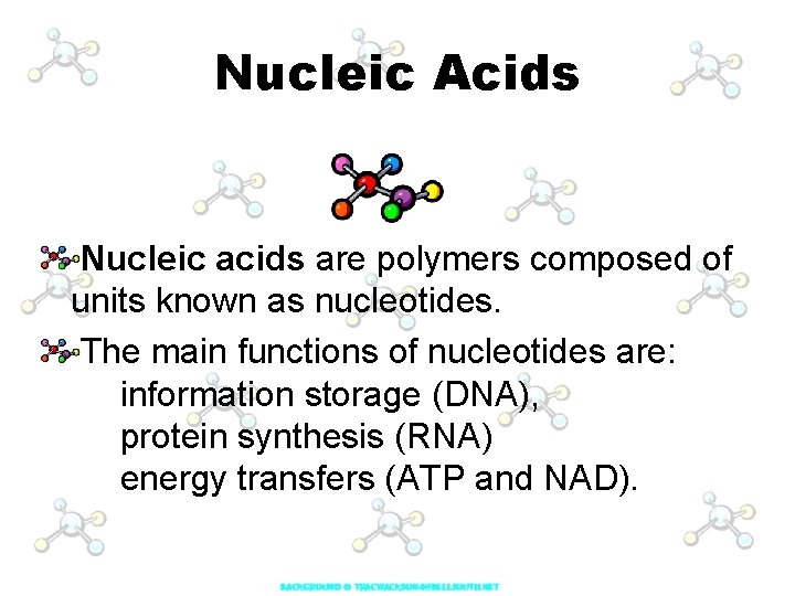 Nucleic Acids Nucleic acids are polymers composed of units known as nucleotides. The main