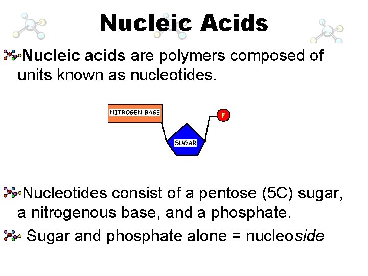 Nucleic Acids Nucleic acids are polymers composed of units known as nucleotides. Nucleotides consist