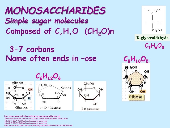 MONOSACCHARIDES Simple sugar molecules Composed of C, H, O (CH 2 O)n 3 -7