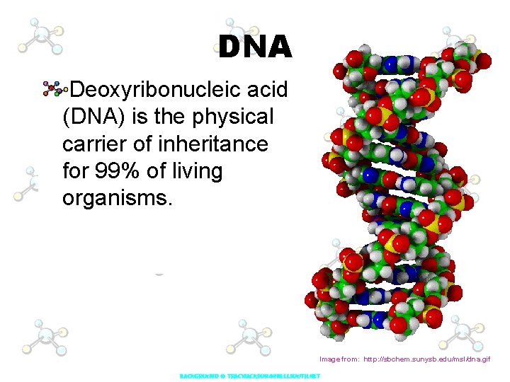 DNA Deoxyribonucleic acid (DNA) is the physical carrier of inheritance for 99% of living