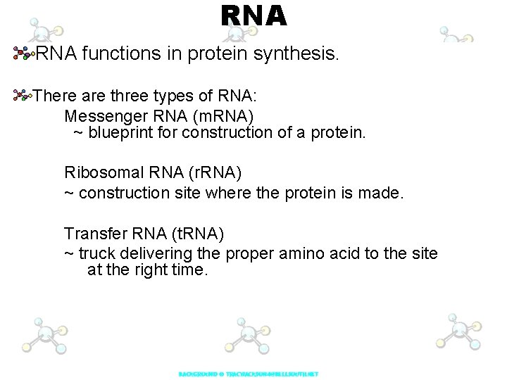 RNA functions in protein synthesis. There are three types of RNA: Messenger RNA (m.