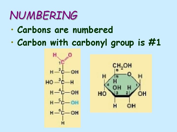 NUMBERING • Carbons are numbered • Carbon with carbonyl group is #1 