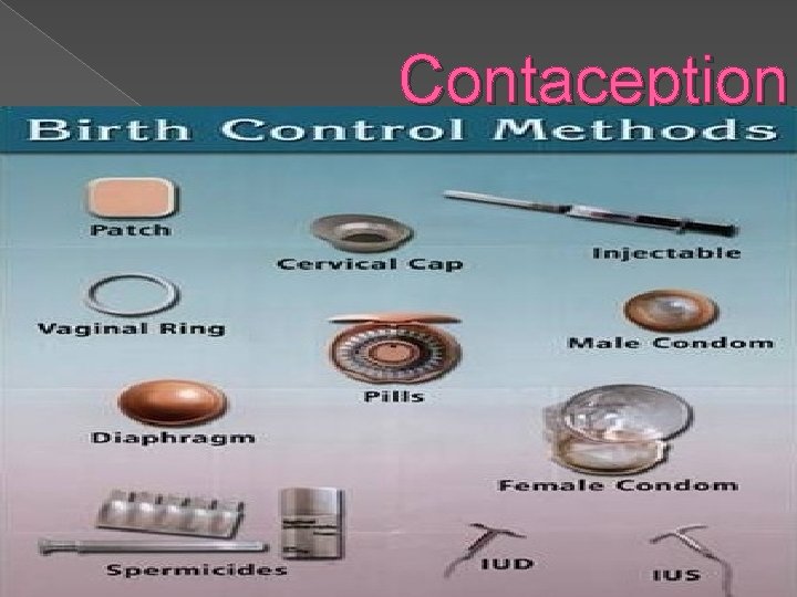 Contaception 