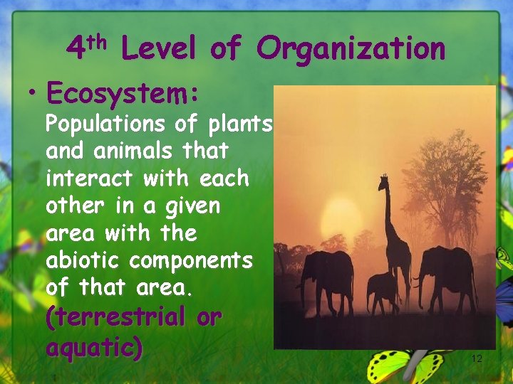 4 th Level of Organization • Ecosystem: Populations of plants and animals that interact