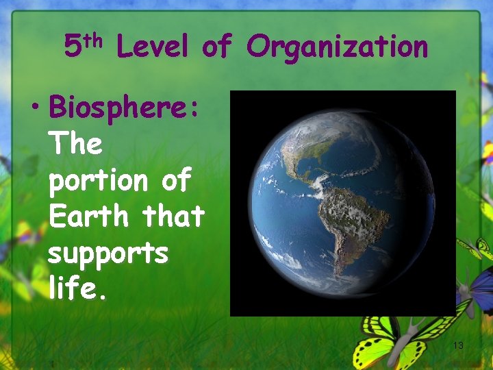 5 th Level of Organization • Biosphere: The portion of Earth that supports life.