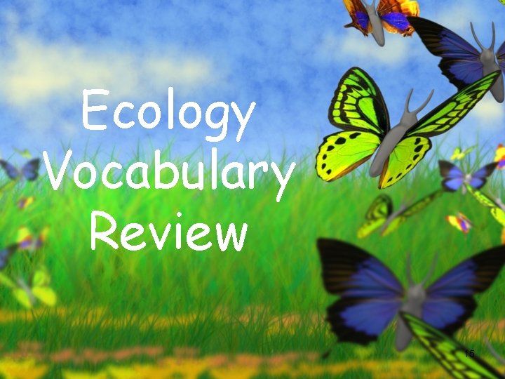 Ecology Vocabulary Review 15 