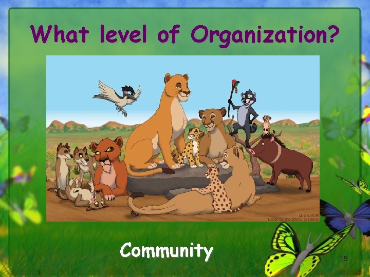 What level of Organization? Community 19 