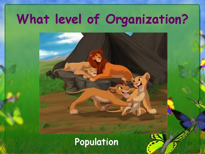 What level of Organization? Population 21 
