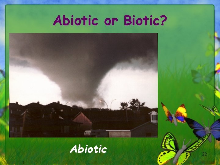 Abiotic or Biotic? Abiotic 22 