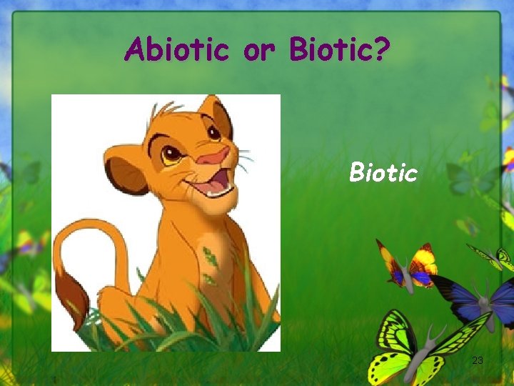 Abiotic or Biotic? Biotic 23 