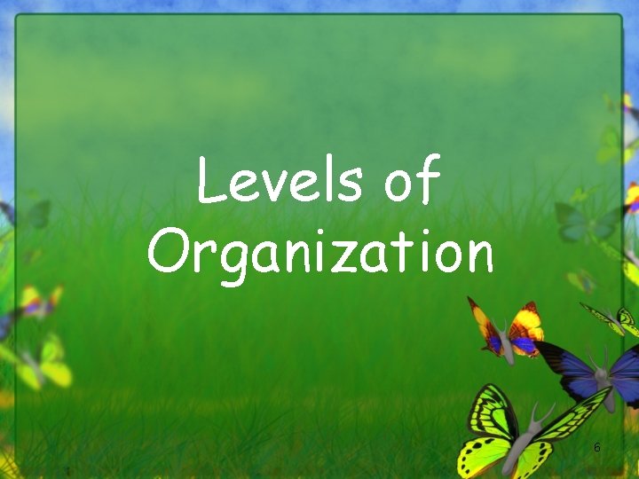 Levels of Organization 6 