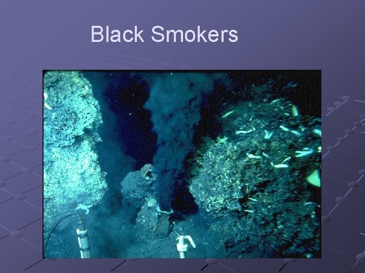 Black Smokers 