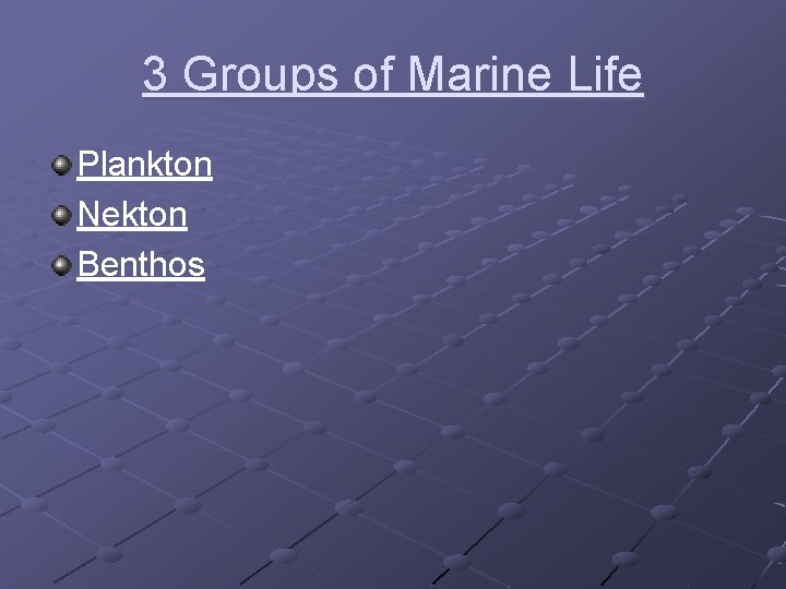 3 Groups of Marine Life Plankton Nekton Benthos 