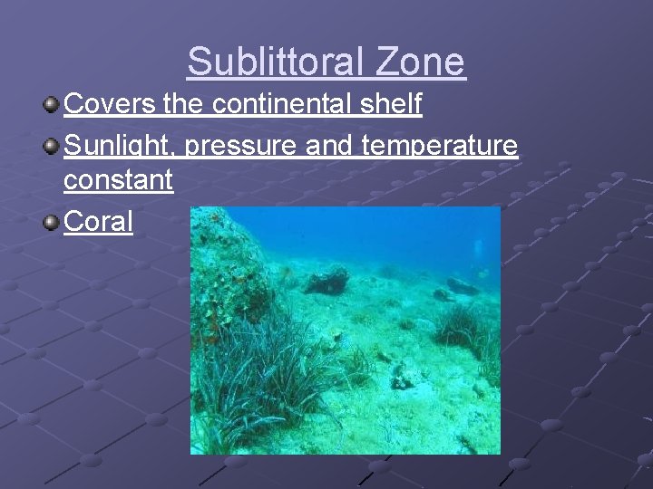 Sublittoral Zone Covers the continental shelf Sunlight, pressure and temperature constant Coral 