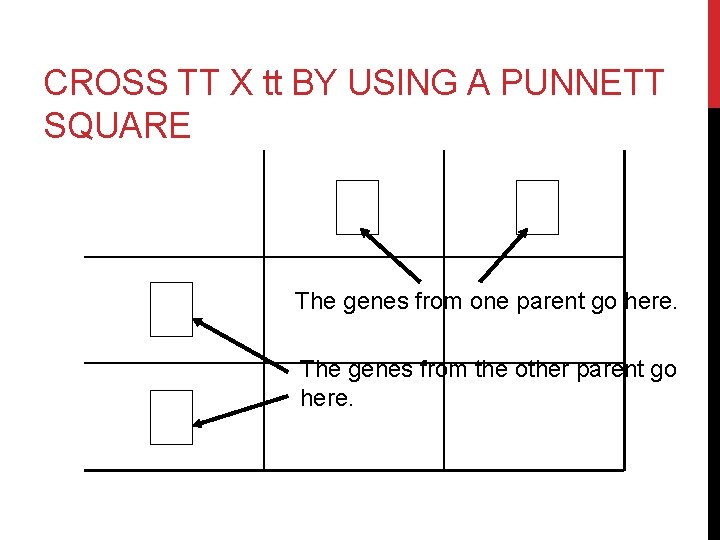 CROSS TT X tt BY USING A PUNNETT SQUARE Tt Tt The genes from