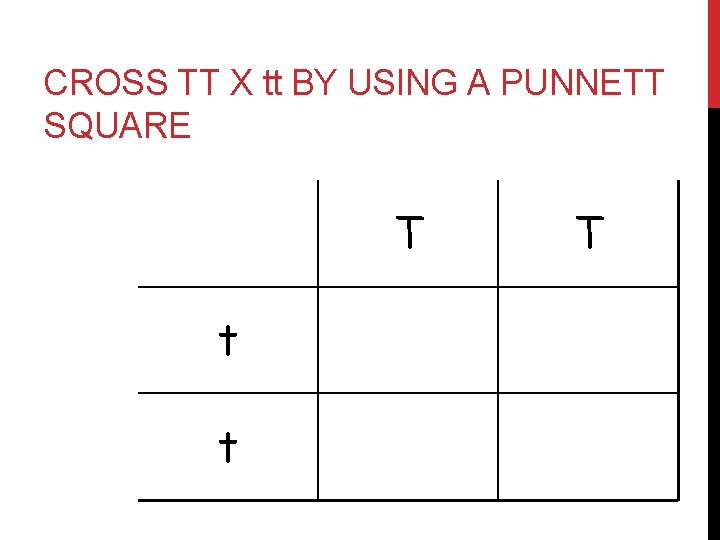 CROSS TT X tt BY USING A PUNNETT SQUARE T T t Tt Tt