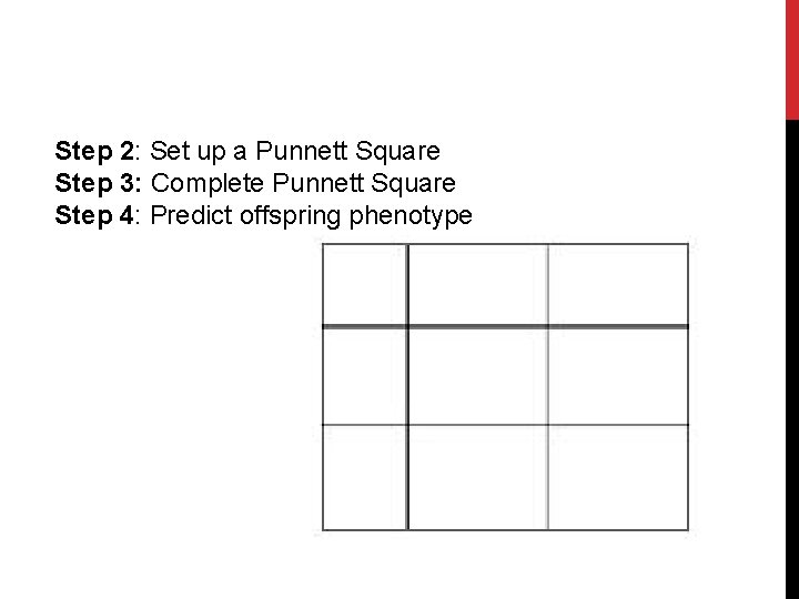 Step 2: Set up a Punnett Square Step 3: Complete Punnett Square Step 4: