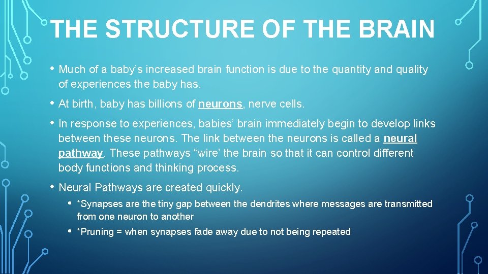 THE STRUCTURE OF THE BRAIN • Much of a baby’s increased brain function is
