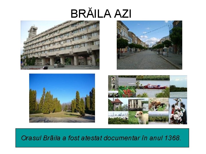 BRĂILA AZI Orasul Brãila a fost atestat documentar în anul 1368. 