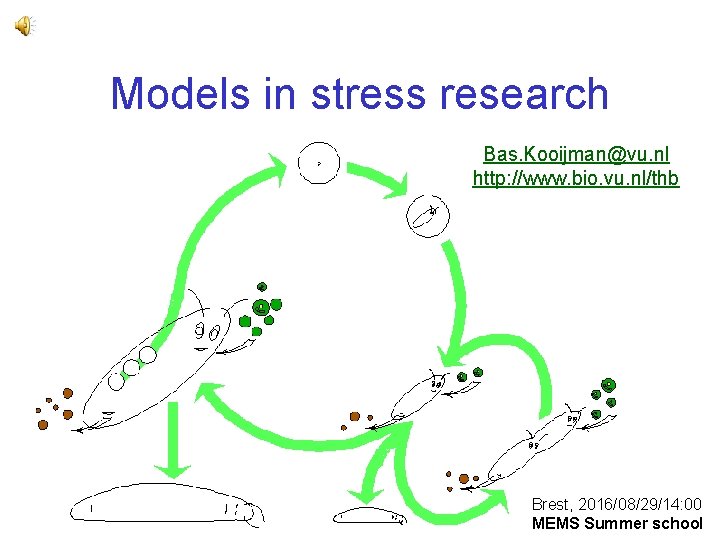 Models in stress research Bas. Kooijman@vu. nl http: //www. bio. vu. nl/thb Brest, 2016/08/29/14: