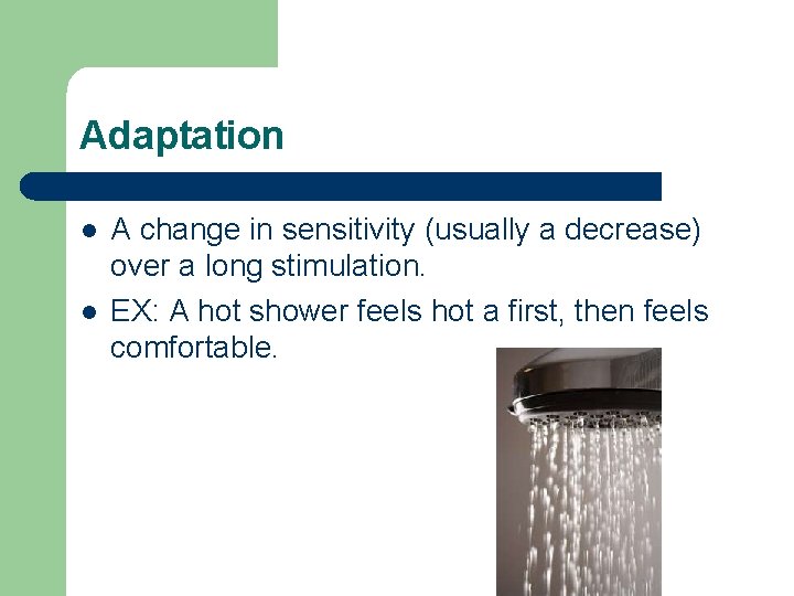 Adaptation l l A change in sensitivity (usually a decrease) over a long stimulation. Adaptation l l A change in sensitivity (usually a decrease) over a long stimulation.