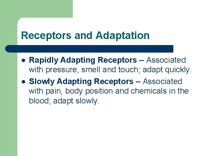 Receptors and Adaptation l l Rapidly Adapting Receptors – Associated with pressure, smell and Receptors and Adaptation l l Rapidly Adapting Receptors – Associated with pressure, smell and