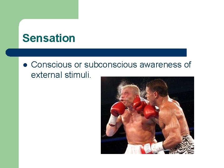 Sensation l Conscious or subconscious awareness of external stimuli. Sensation l Conscious or subconscious awareness of external stimuli.