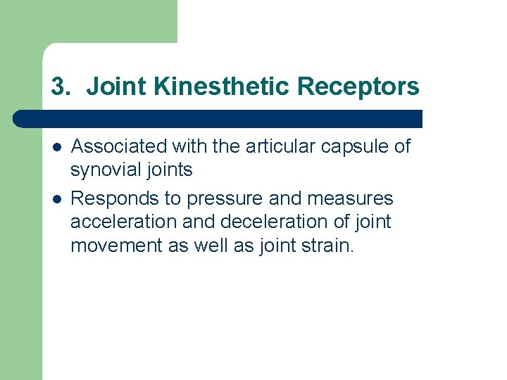 3. Joint Kinesthetic Receptors l l Associated with the articular capsule of synovial joints 3. Joint Kinesthetic Receptors l l Associated with the articular capsule of synovial joints