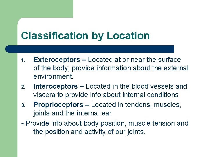 Classification by Location Exteroceptors – Located at or near the surface of the body; Classification by Location Exteroceptors – Located at or near the surface of the body;