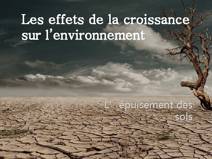 Les effets de la croissance sur l’environnement L’épuisement des sols 