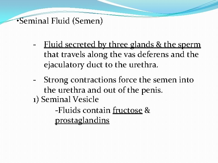  • Seminal Fluid (Semen) - Fluid secreted by three glands & the sperm