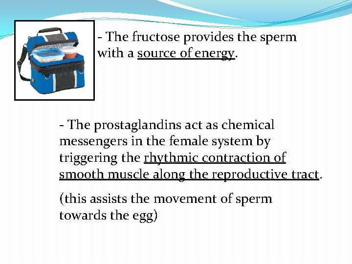 - The fructose provides the sperm with a source of energy. - The prostaglandins