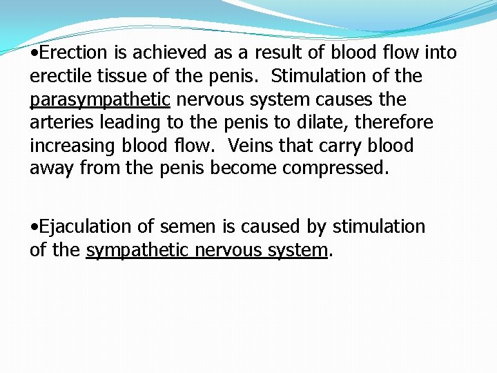  • Erection is achieved as a result of blood flow into erectile tissue