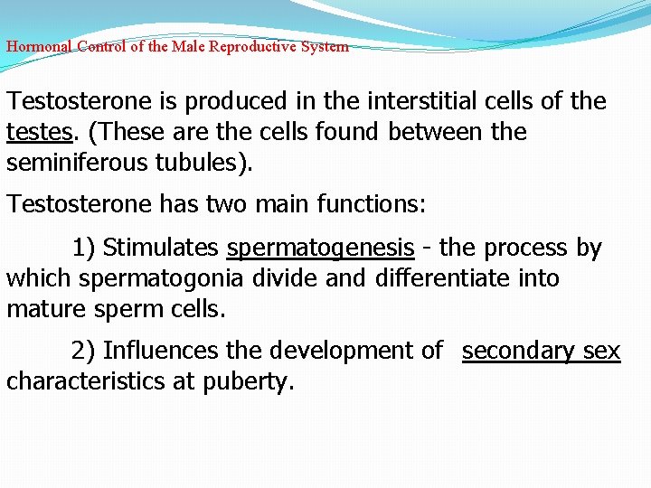 Hormonal Control of the Male Reproductive System Testosterone is produced in the interstitial cells