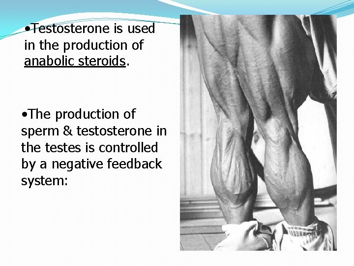  • Testosterone is used in the production of anabolic steroids. • The production