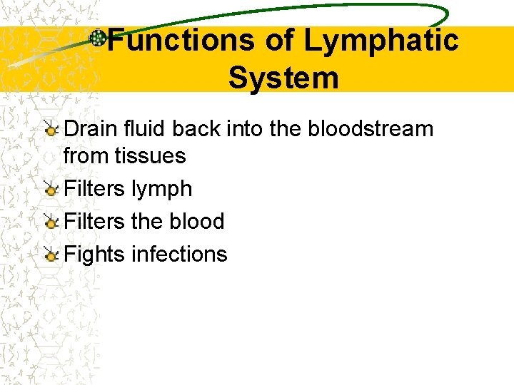 Functions of Lymphatic System Drain fluid back into the bloodstream from tissues Filters lymph