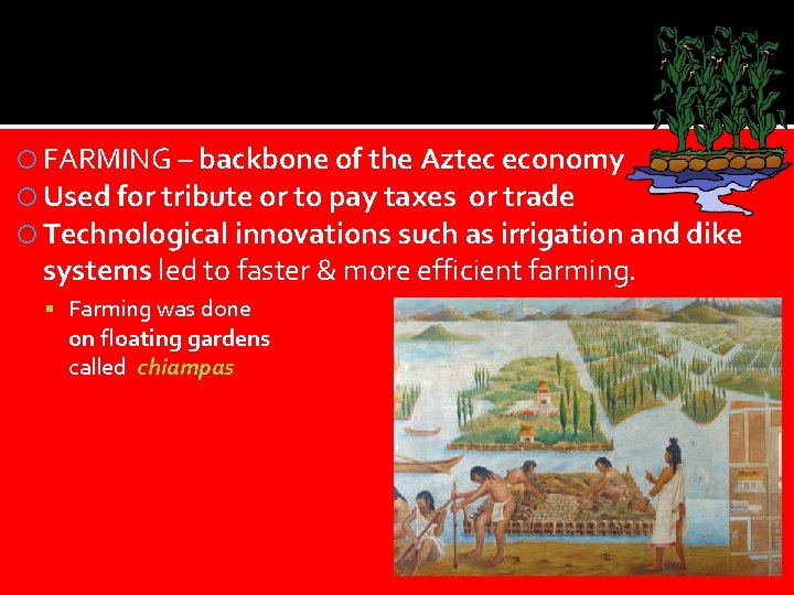  FARMING – backbone of the Aztec economy Used for tribute or to pay
