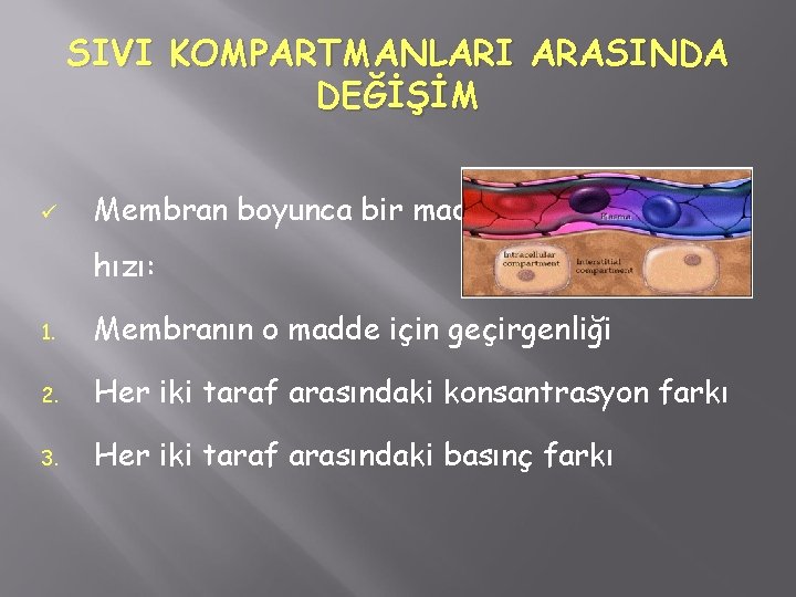 SIVI KOMPARTMANLARI ARASINDA DEĞİŞİM ü Membran boyunca bir maddenin diffüzyonu hızı: 1. Membranın o