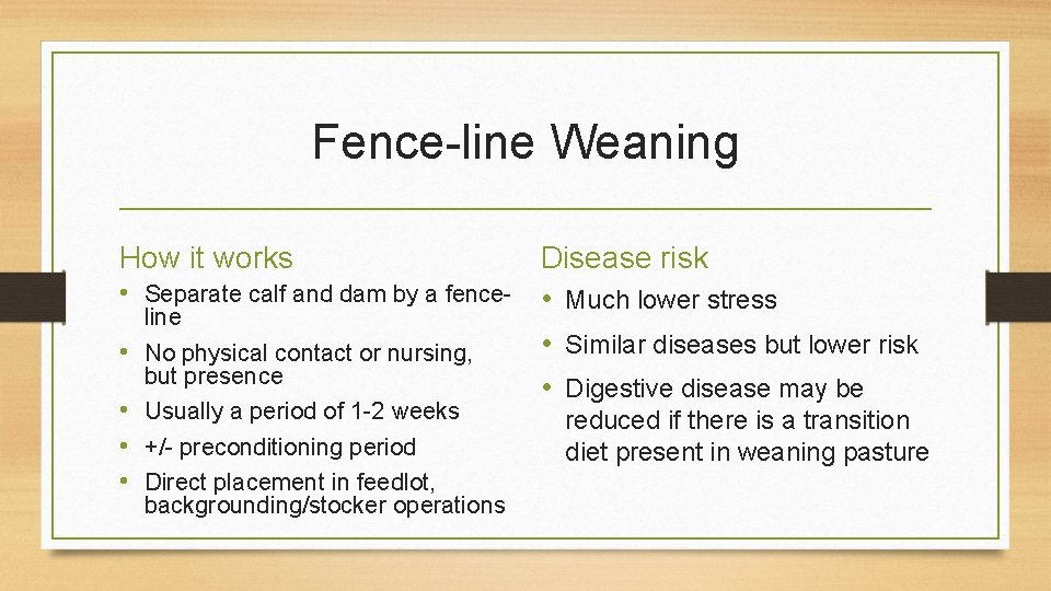 Fence-line Weaning How it works • Separate calf and dam by a fence •