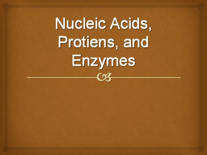 Nucleic Acids, Protiens, and Enzymes 