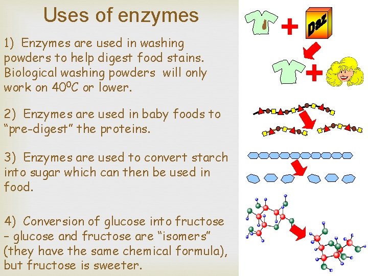 Uses of enzymes 1) Enzymes are used in washing powders to help digest food