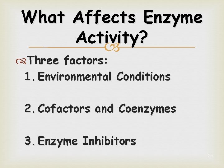 What Affects Enzyme Activity? Three factors: 1. Environmental Conditions 2. Cofactors and Coenzymes 3.