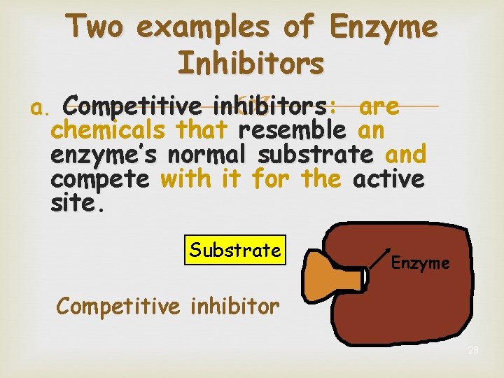 Two examples of Enzyme Inhibitors a. Competitive inhibitors: are chemicals that resemble an enzyme’s