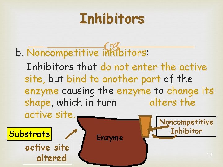 Inhibitors b. Noncompetitive inhibitors: Inhibitors that do not enter the active site, site but