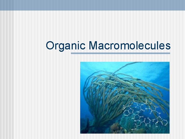Organic Macromolecules 
